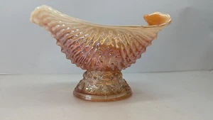Dugan Nautalis Carnaval Vidrio Melocotón Opalescente Crema Gravy 1910 Concha de Argonauta - Imagen 1 de 16