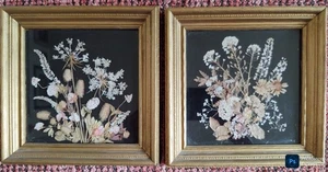 Paar alte gepresste Blumen in Rahmen - Bild 1 von 4