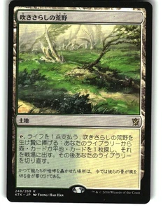 Magic the Gathering - Khans of Tarkir Windswept Heath 2014 248 Rare Japanese - Picture 1 of 2