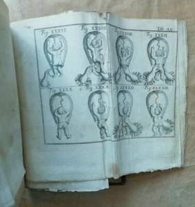 Hebammenkunst D Johann EHRENFRIED THEBESII éd David Siegert 1759 Gynécologie - Picture 1 of 12