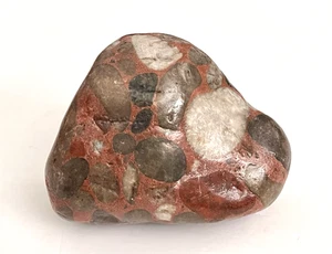 Smooth Jasper Puddingstone 2 lbs 8 oz - Picture 1 of 9