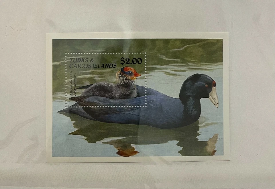Hoja de recuerdo Turks & Caicos Scott #868 nh Foto 1 de 1
