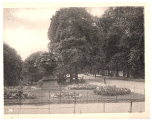 Tarjeta comercial victoriana temprana desconocida parque flores plantas en maceta, mensaje en la parte posterior - Imagen 1 de 3