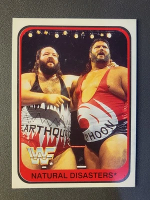 1991 Merlin WWF Italian Trading Card #149 NATURAL DISASTERS ROOKIE (RC) - Image 1 of 2