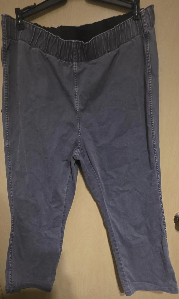 Soft Surroundings Pull On Gray Pants Plus Size 1X Stretch 26 Inch Inseam Comfort - Image 1 of 4