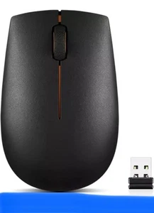 Ratón compacto inalámbrico Lenovo 300 (GX30K79402) - Imagen 1 de 5