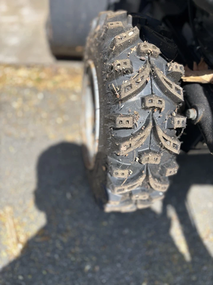 SOPLADOR DE NIEVE B&S ELITE 1530 Foto 1 de 4