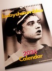 Babyshambles Calendar 2026 gift Pete Doherty Libertines New Year Band Music