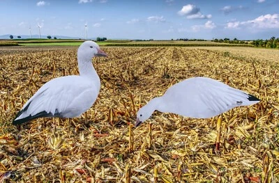SnowDown Decoys Snow Goose Silhouette Decoys 5 Dz 60 Silhouettes + FREE BAG - Image 1 of 4