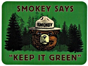 OFFICIAL Large SMOKEY BEAR “Keep it Green” Sticker Indoor USFS - SHIPS FAST - Picture 1 of 2