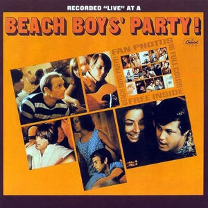 Beach Boys - Beach Boys Party+++Vinyl 200g Mono ++Analogue Productions++NEU++OVP - Picture 1 of 1