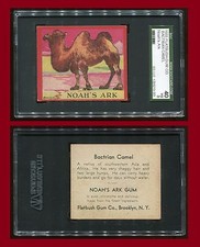 1933 Flatbush Gum Noah's Ark "Bactrian Camel" SGC 40 VG Cert #1290213-001