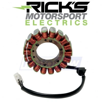 Ricks Motorsport Stator for 2011 Ducati 1198 SP - Electrical Electrical kh Foto 1 de 4
