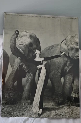 RICHARD AVEDON RARO 1978 IMPRESIÓN LITOGRÁFICA ENMARCADO EXHBT PÓSTER "ELEFANTES DOVIMA" 1955 Foto 1 de 2