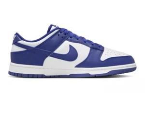 Nike Dunk Low Retro Men’s Size 10 Shoes Concord Purple White (DV0833-103) - Picture 1 of 5