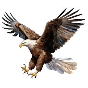 Wandtattoo Aufkleber Aquarell Adler Wandaufkleber 18X18cm Groß - Bild 1 von 1