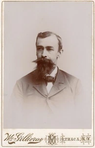 VERWECHSELBARER BÄRTIGER GENTLEMAN: ITHAKA NY: LANDSCHAFTLICHE ANSICHT AUF ITHAKA KABINETTKARTE - Bild 1 von 4