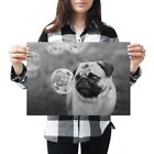 A3 - Cute Pug Playing Dog Puppy Pet Poster 42X29.7cm280gsm(bw) #37719