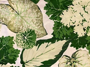 Martha Negley Rowan Quilting Fabric / Variegated Garden - Green Cream - 1 yard - Picture 1 of 4