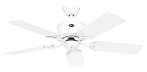 Energy efficient Ceiling fan Eco Elements White 41" DC Ceiling fan with Remote - Picture 1 of 4
