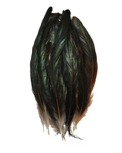 40 piezas FUNDA DE GALLO plumas 6-10 pulgadas - negra iridiscente (Disfraz/Halloween) - Imagen 1 de 1