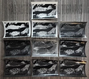 Lot of 10 Dolphin & Seal Solarization 8x10 Photo Prints ART Lindy Sutton Estate - Picture 1 of 2