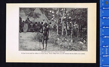 Enemy Skulls on Trophy Tree in Congo Village - Africa -1924 Historical Print