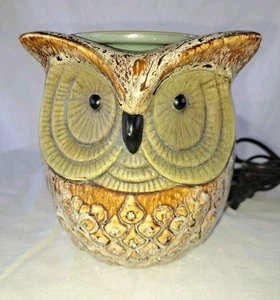 Scaldacera Corna Gufo Marrone Full Size Elettrico Sciogli Cera Gres  - Foto 1 di 10