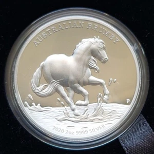 2020 AUSTRALIAN BRUMBY HIGH RELIEF 2oz 9999 SILVER PROOF COIN Perth Mint - Picture 1 of 3