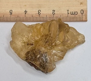 Resina de árbol fósil ámbar joven COPAL de Madagascar con inclusiones (Z627) - Imagen 1 de 1