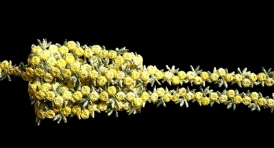 1/2-inch-wide embroidered yellow/sage color lace trim price per yard - Image 1 of 3