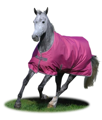 Bucas Freedom Turnout 150 g Füllung Outdoordecke 600 D raspberry HW 2025 - Bild 1 von 2