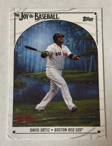 David Ortiz /35 Titanium White 2023 Topps X Bob Ross Joy Of Baseball Red Sox - Foto 1 di 2