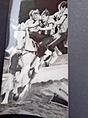 1977 DDR foto 18x10 Reitertruppe Kersten ZIRKUS BUSCH circus cirque circo photo - Bild 1 von 2