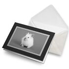 Greetings Card (Black) BW - Fluffy White Bunny Rabbit Pet  #36844
