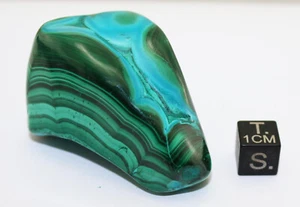 Malachit Chrysokoll Natürlich Halbe Polis Des Kongo ( 98.6 Gramm - 020) - Bild 1 von 7