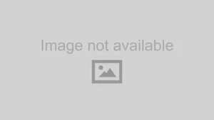 Stoptech 120.44129 Brake Rotor * Fits Toyota Tacoma & FJ Cruiser - Picture 1 of 1