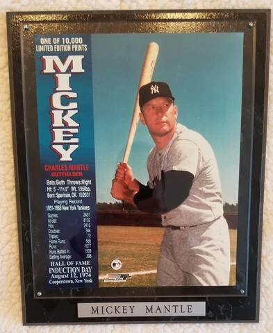 Mickey Mantle New York Yankees Plaque Picture Commemorative Statistics LE Framed Cover