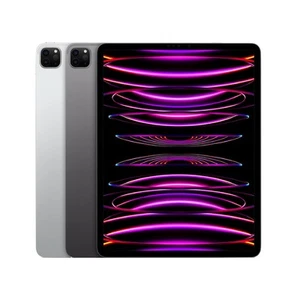 Apple iPad Pro 12.9 (6th Gen.) 1TB Unlocked Good Condition - All Colors - Picture 1 of 3