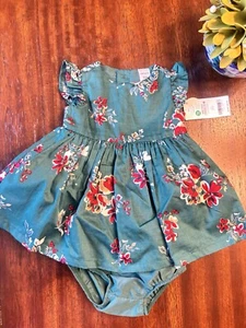 Carter's Baby Girl Green Floral A Line Dress size 3M With Matching Panties NWT - Picture 1 of 11
