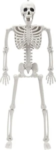 1PCS 16" Halloween Posable Scheletro Decorazioni Corpo Completo Statuina Infestata Spaventosa - Foto 1 di 7