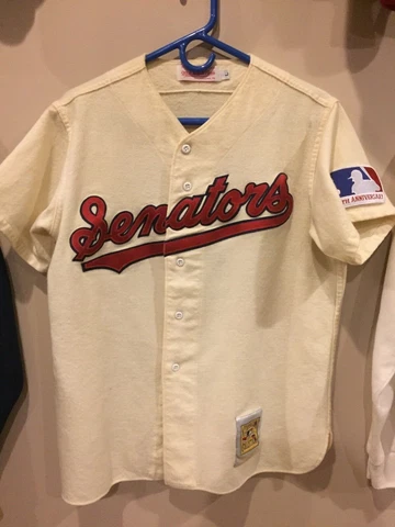 Mitchell Ness Washington Senators 1969 Ted Williams 100th Patch Authentic Jersey Cover