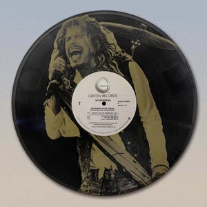 Aerosmith Done With Mirrors 12 inch Black vinyl LP laser etched wall art - Picture 1 of 6