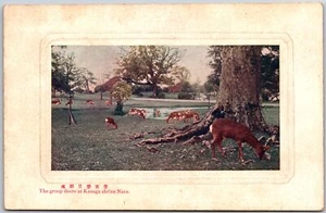 The Group Deers At Kasuga Shrine Nara Japan Postcard - Picture 1 of 2