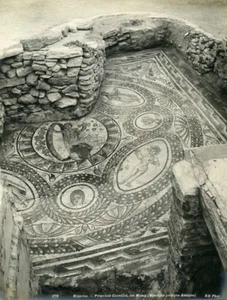 Algeria Hippone Annaba Excavation Property Chevillot Old Photo Neurdein 1900 - Imagen 1 de 3