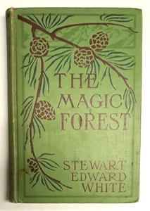 The Magic Forest by Stewart Edward White, Hardcover, Grosset & Dunlap, 1906 - Picture 1 of 11