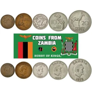 Zambia | 5 Coin Set | 1 2 5 10 20 Ngwee | 1968 - 1988 - Picture 1 of 2