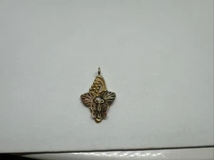10k Tri Colored Gold Butterfly, Leaf & Grape Pendant Black Hills Gold 1.66g - Picture 1 of 12