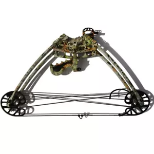 Archery Triangle Compound Bow Right Left Hand Hunting Shoot Competition 40lbs - Picture 1 of 13