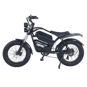 2000W 60KM/H Electric Bike Bicycle 48V Mountain Bike 20" Tire Shimano 7 Speed - Picture 1 of 13